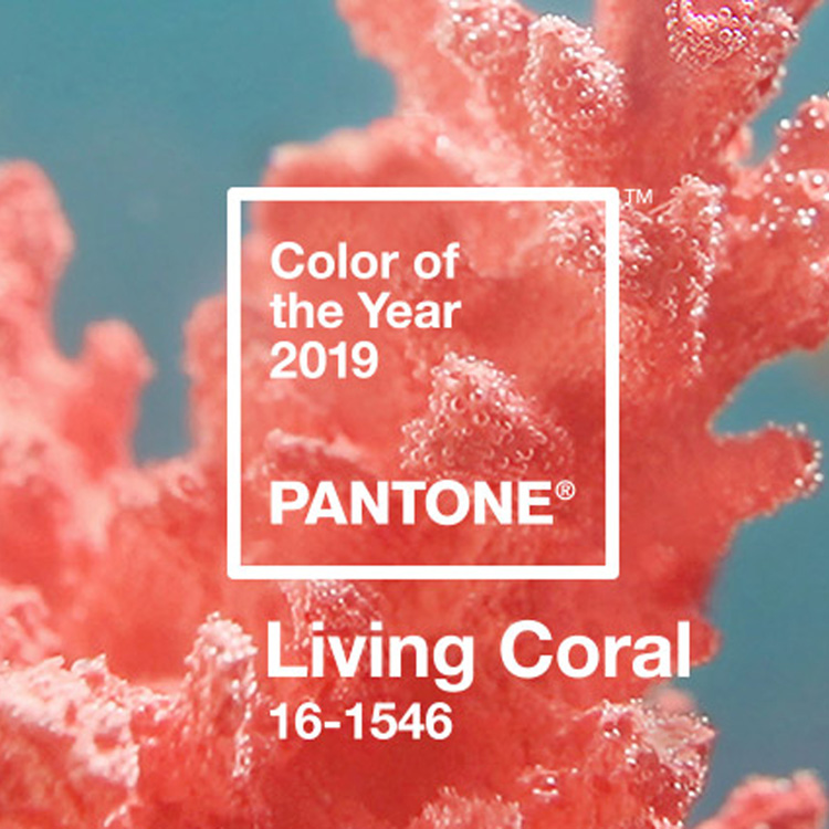 2019トレンドカラー“LIVING CORAL”で毎日をハッピーに！