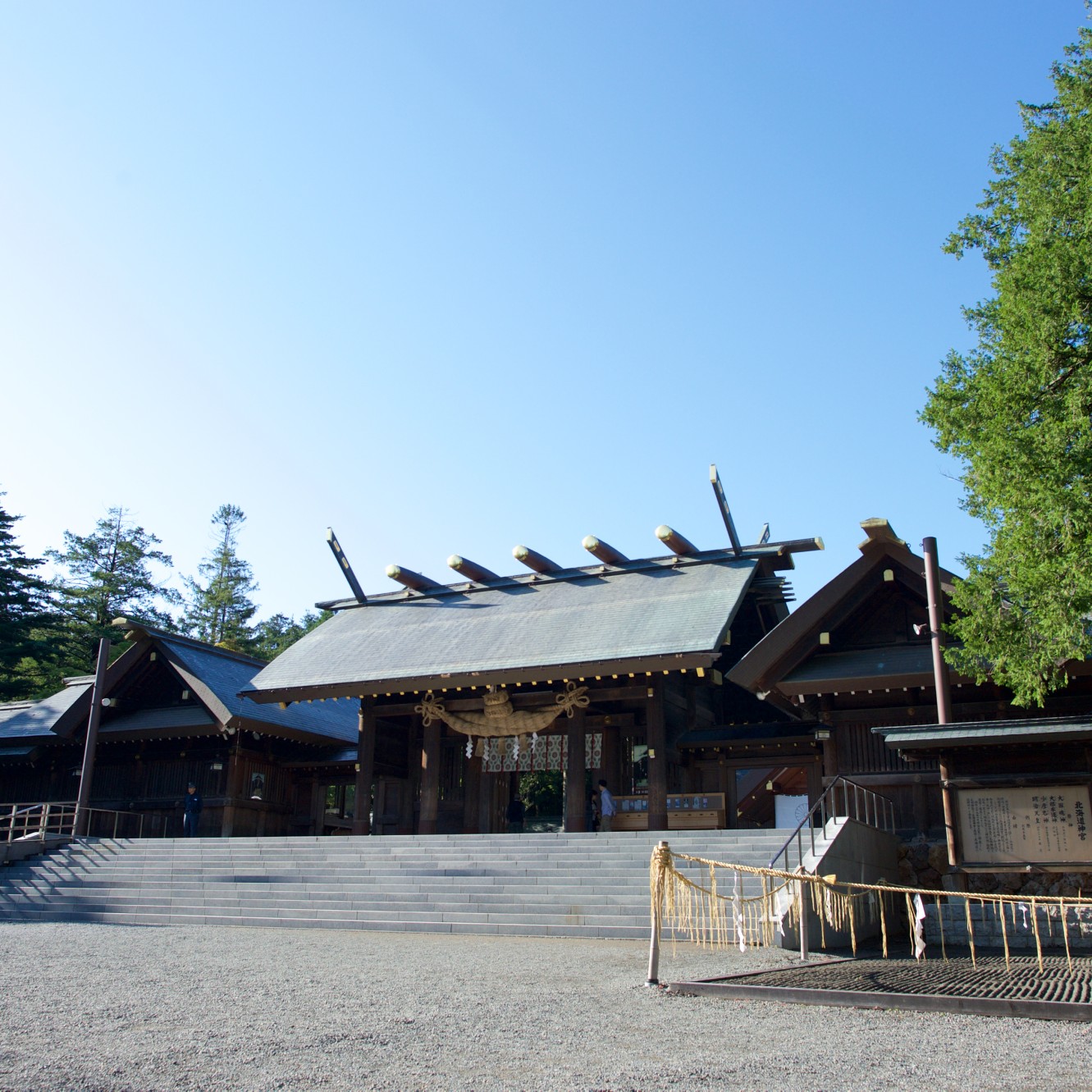 おいしい梅酒は北海道神宮にあり